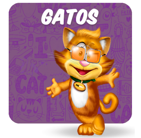 Gatos